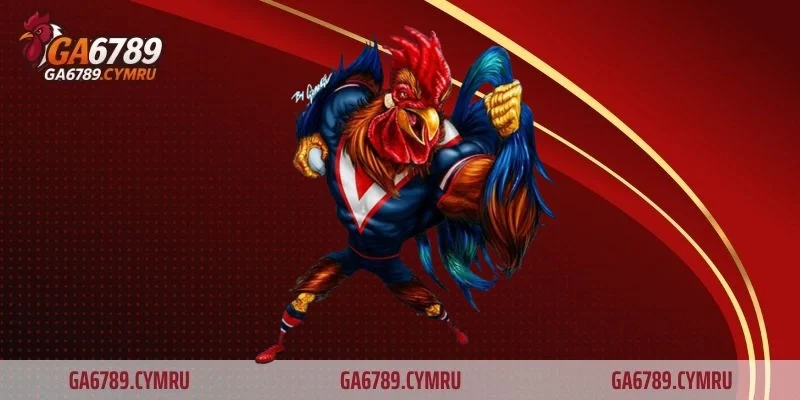 Đá gà cựa sắt Thomo là gì?