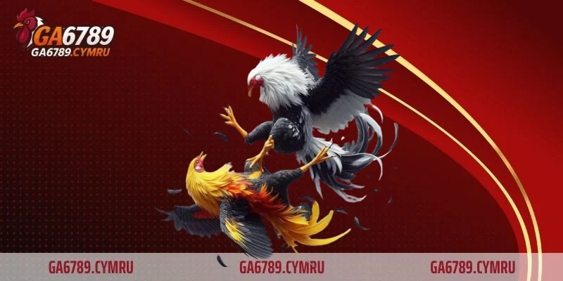 Giá trị văn hóa và xã hội