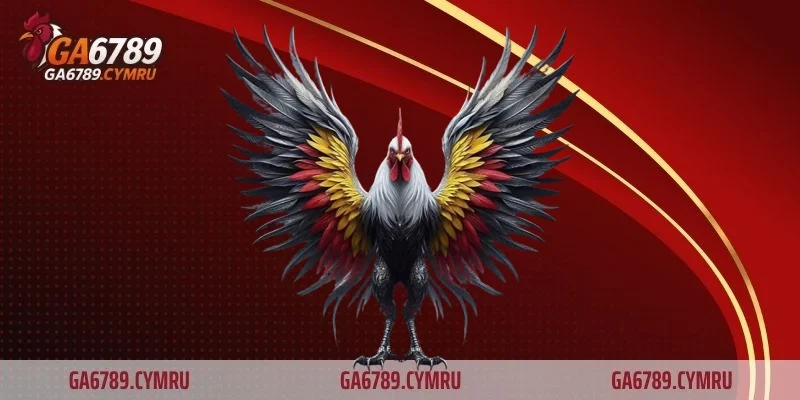 Giảm rủi ro khi giao đòn đầu