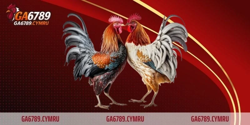 Giữ bình tĩnh khi băng cựa