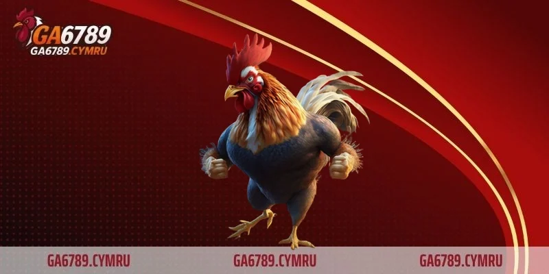 Những đối tác uy tín