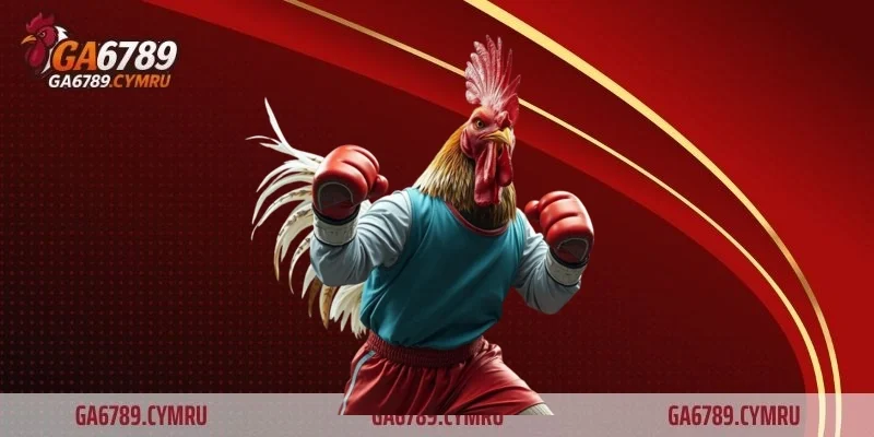 Chọn nhà cái uy tín