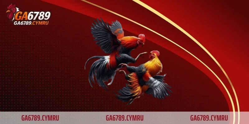 Đá gà S128 – Sân chơi trực tuyến đẳng cấp hàng đầu nhất