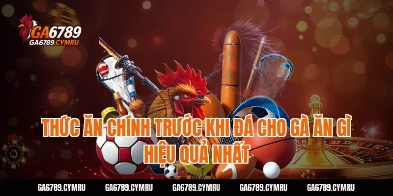 Thức ăn chính trước khi đá cho gà ăn gì hiệu quả nhất